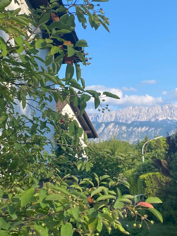 Ferienhaus Wildbarren - Alpenmagie Suites オーバーアウドルフ エクステリア 写真